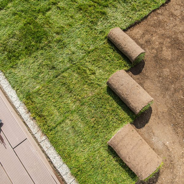 Landscaping Industry. Rolls of Newly Installed Grass Turfs Next to Swimming Pool Deck. Industrial Theme.